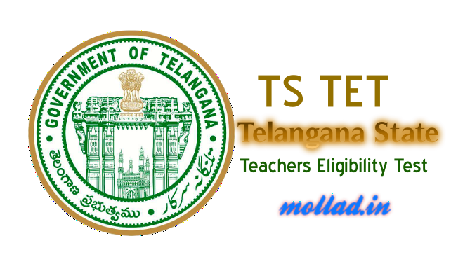 TSTET 2017 answer key