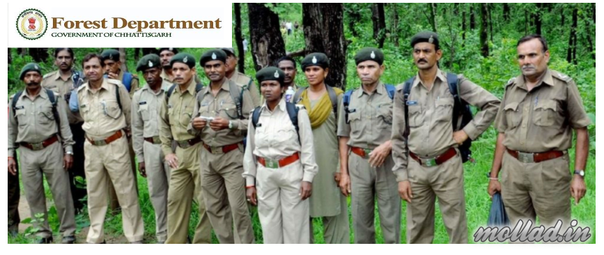 CG Forest Game Guard Admit Card