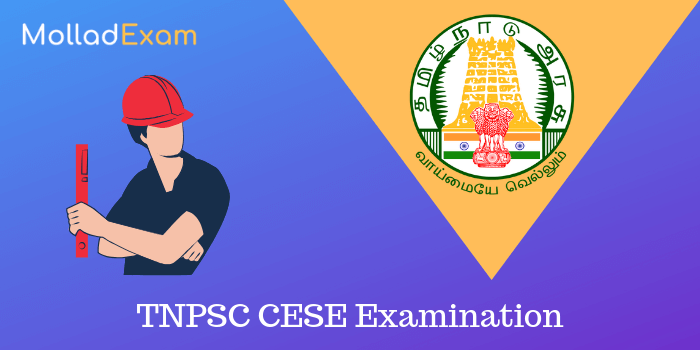 tnpsc cese answer key 2019